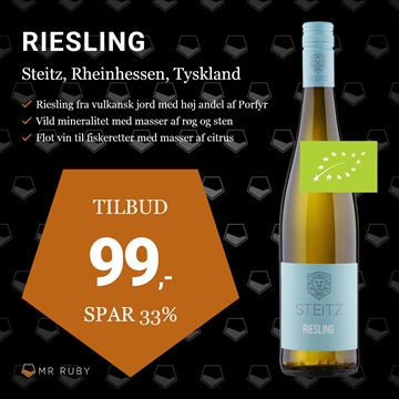 2022 Riesling, Weingut Steitz, Rheinhessen, Tyskland